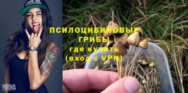 шишки Абдулино