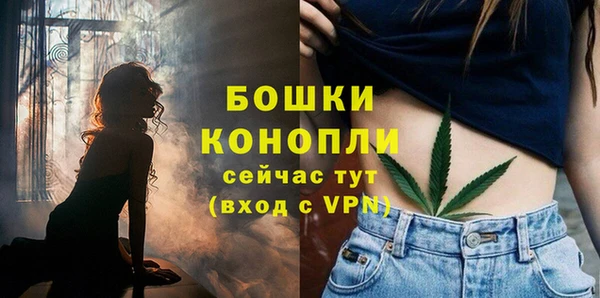 шишки Абдулино