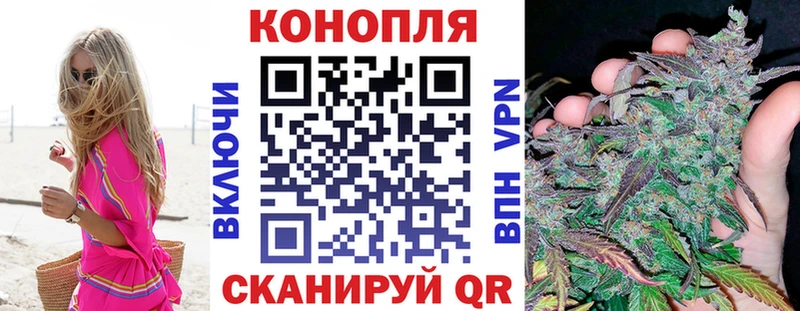 Каннабис семена  блэк спрут ссылка  Сусуман 
